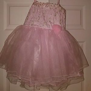 NWT Girl's pink Dance Tutu Dress